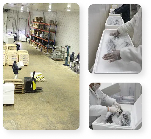 Nossa equipe de colaboradores