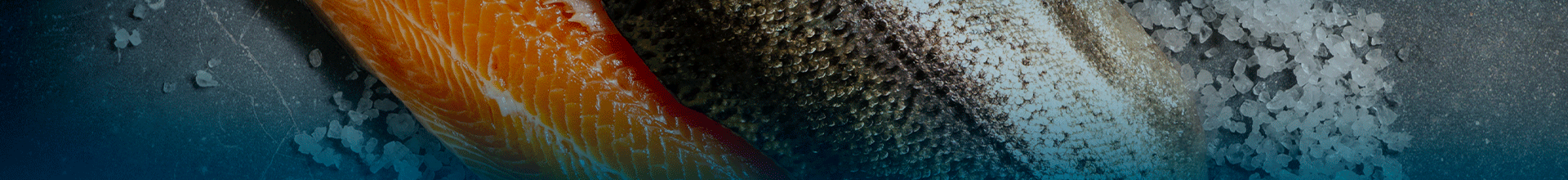 Pescados de alta qualidade