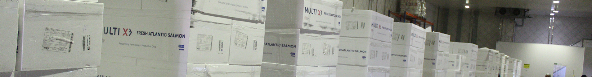 Pescados de alta qualidade