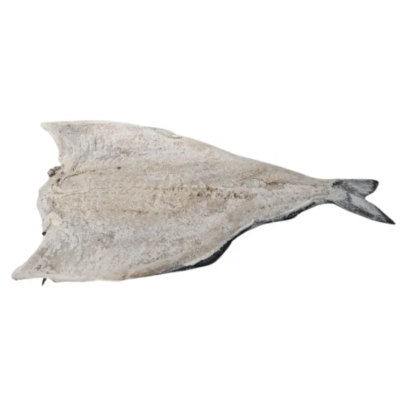 Saithe Salgado Seco Mathias - Caixa com 25kg