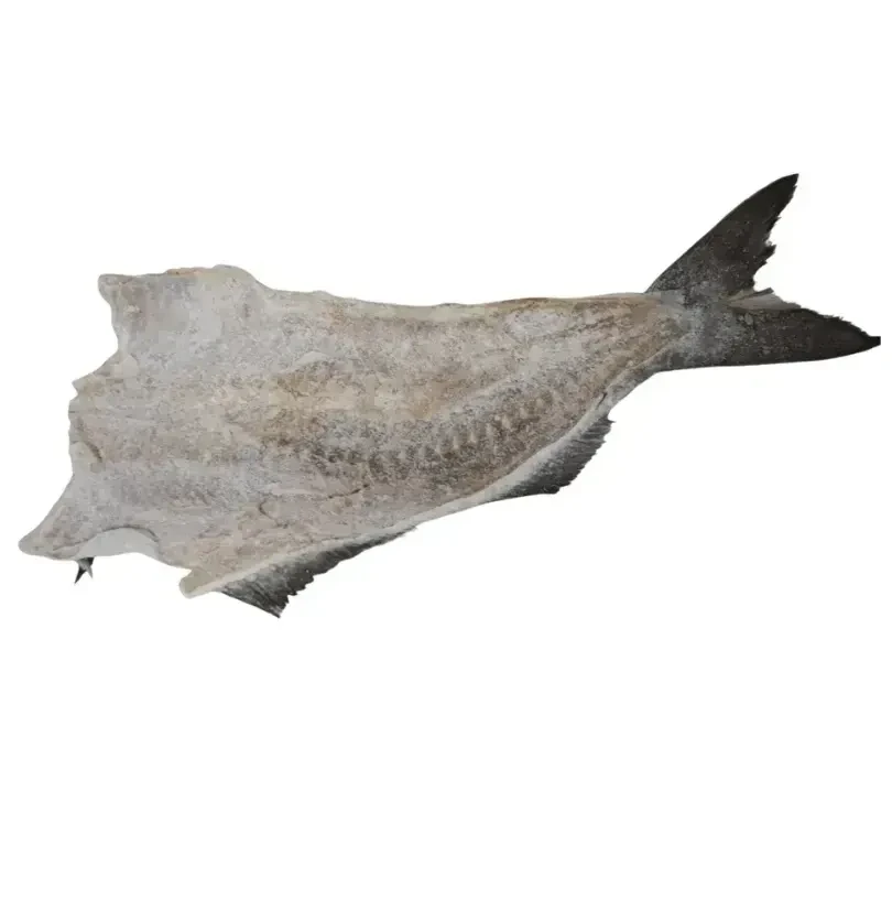  Saithe Salgado Seco - Caixa com 25kg